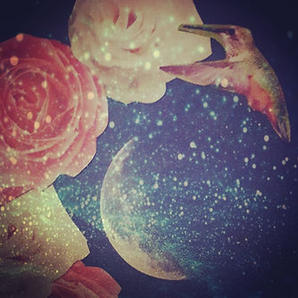 moon, bird & roses collage